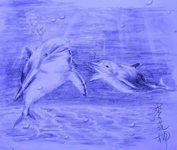 海底小動員3.jpg 海底小動員3.jpg