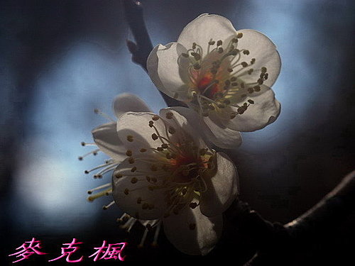 20.jpg 20.jpg