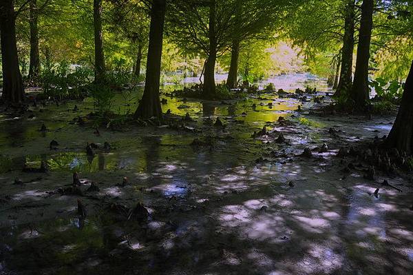 DSC_1135.jpg DSC_1135.jpg