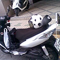 20110709.jpg