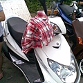 20110709_022.jpg