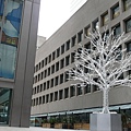 P1180017