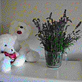 send-flower-to-myself.gif
