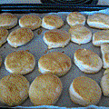 biscuits-1.gif