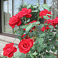 Sep.21-2.gif
