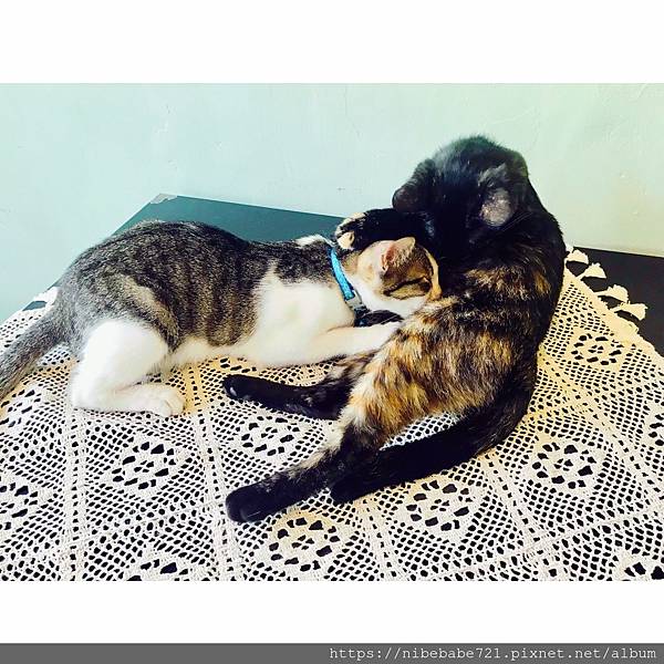 20200505杯治溫度_200530_0004.jpg 20200505杯治溫度_200530_0004.jpg