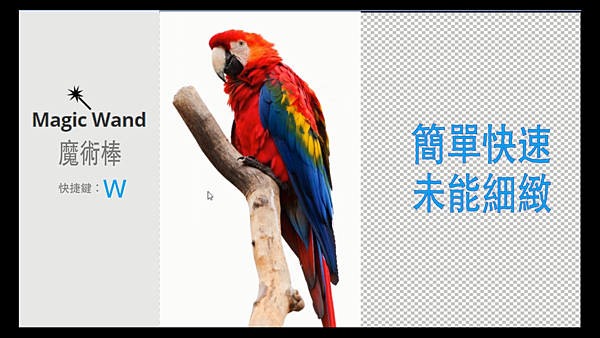妮可亨利】Photopea｜2分鐘輕鬆圖片去背｜基礎篇｜套索, 橡皮擦, 魔術 