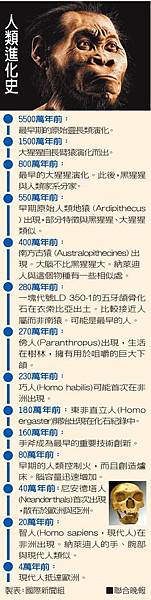 繼南科「台灣第一狗」挖出石虎或「台灣第一貓」/台灣規模最大的