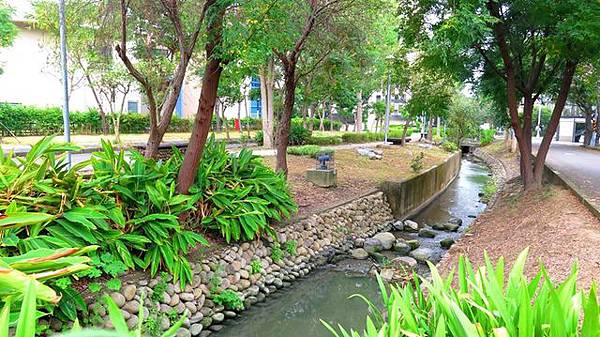 六家東興圳/新竹六家「霧崙毛毛」高鐵『水圳』六張犁圳又名「東 六家東興圳/新竹六家「霧崙毛毛」高鐵『水圳』六張犁圳又名「東