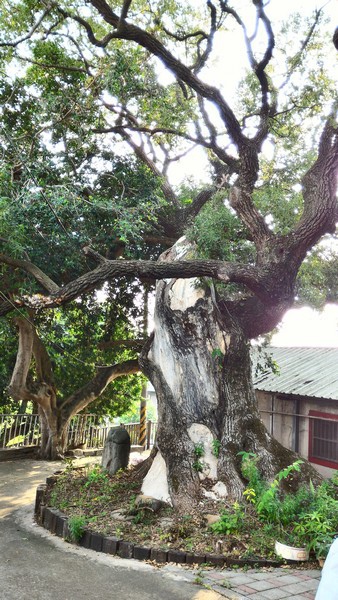 姜勝智/姜朝鳳派下姜勝智在新竹縣竹塹，共發起興建三座廟178