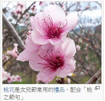 3月3日女兒節 男孩節定於端午節 女兒祭 正在縫 千人針 七夕也叫乞巧節 女兒節 七夕乞巧 祈願美好婚姻起源於漢代 從漢下南北朝歷經唐宋走過元明清 迄今二千年過去了 風俗習尚有演遞 對堅貞的愛情 婚姻良緣還是一樣的認同 姜朝鳳宗族 3月3日女兒節 男孩節定於端午節 女兒祭 正在縫 千人針 七夕也叫乞巧節 女兒節 七夕乞巧 祈願美好婚姻起源於漢代 從漢下南北朝歷經唐宋走過元明清 迄今二千年過去了 風俗習尚有演遞 對堅貞的愛情 婚姻良緣還是一樣的認同 姜朝鳳宗族