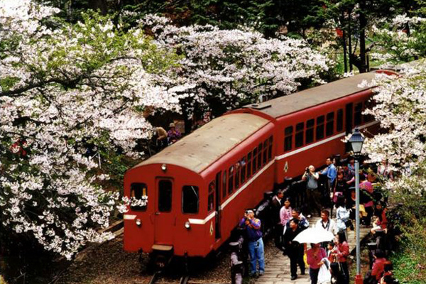 奮起湖車站/1920阿里山火車/110年前清代鋼軌仍在用