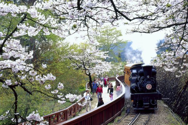 奮起湖車站/1920阿里山火車/110年前清代鋼軌仍在用