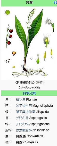 臺中銀座/鈴蘭街燈/臺中最早舖設柏油路面的區域/1928年，