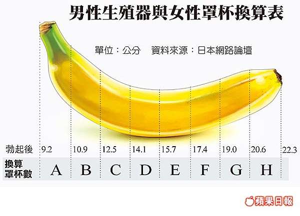 Gg大小 台灣胸部地圖 平均胸部大小 胸部份量質數 比較 日本179 韓國146 泰國122 越南121 再來就是台灣女性竟然只有119 最低是111 淡淡的哀傷 姜朝鳳宗族 痞客邦
