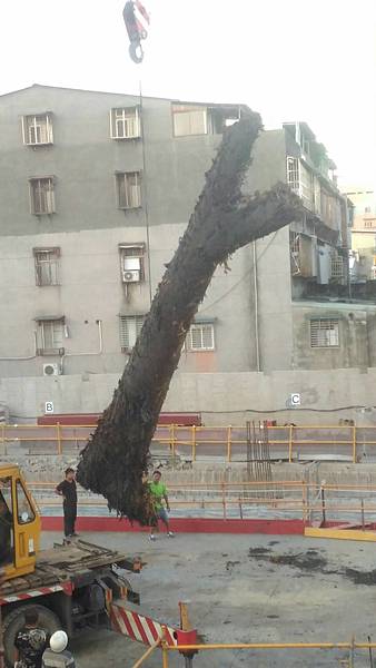 康熙臺北湖/1684~1722「台灣地里圖」《台灣地裡圖》約