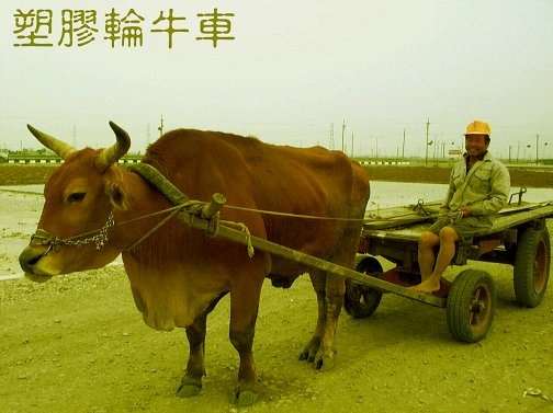 牛車/板輪牛車/芳苑海牛/耕牛文化/二輪牛車/四輪牛車/牛籍