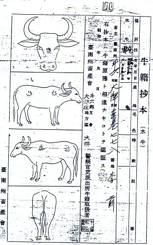 二輪牛車+四輪牛車/平埔族牛車+阿美族原住民家屋與牛車舊照