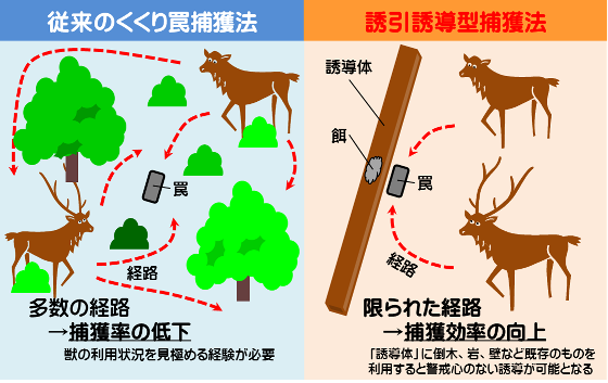贌社/原來17世紀臺灣早就用錢幣與國際接軌/獻上「檳榔與椰子