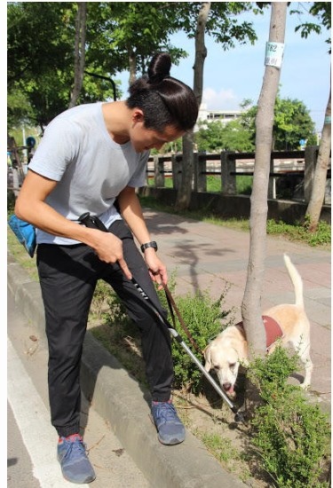 檢疫犬/愛狗貓/幾千年前，人類與狗開始共同進化。為了群居理由