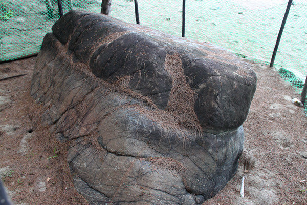 14187501533_d9e750a8ec_b 14187501533_d9e750a8ec_b