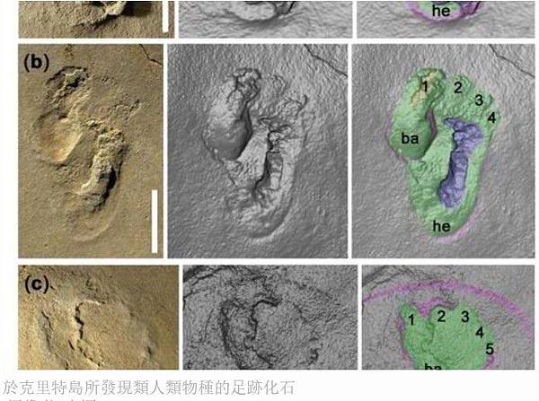 震驚全世界！20億年前核反應堆意味什麼？推斷，地球上曾出現過