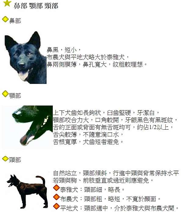 忠心台灣土狗獲國際認證正名 台灣犬 台灣土狗通過70多個會員國代表投票 正式成為代表台灣的全球新興犬種之一 也正名為 台灣犬 Taiwan Dog 姜朝鳳宗族 忠心台灣土狗獲國際認證正名 台灣犬 台灣土狗通過70多個會員國代表投票 正式成為代表台灣的全球新興犬種之一 也正名為 台灣犬 Taiwan Dog 姜朝鳳宗族