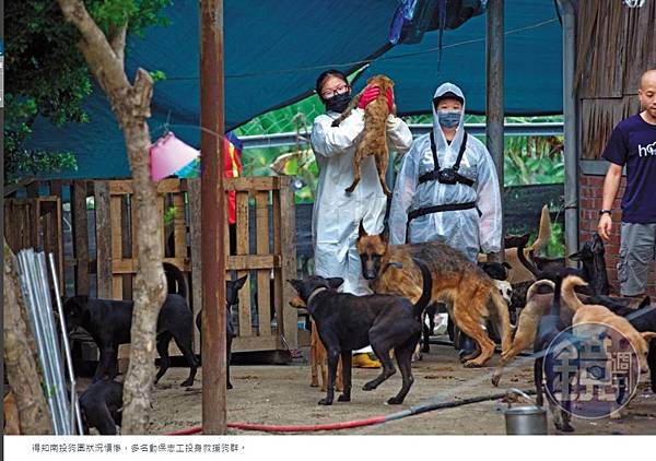 《動物保護法》(動保法)/為什麼狗是寵物?豬是食物?/人類已 《動物保護法》(動保法)/為什麼狗是寵物?豬是食物?/人類已