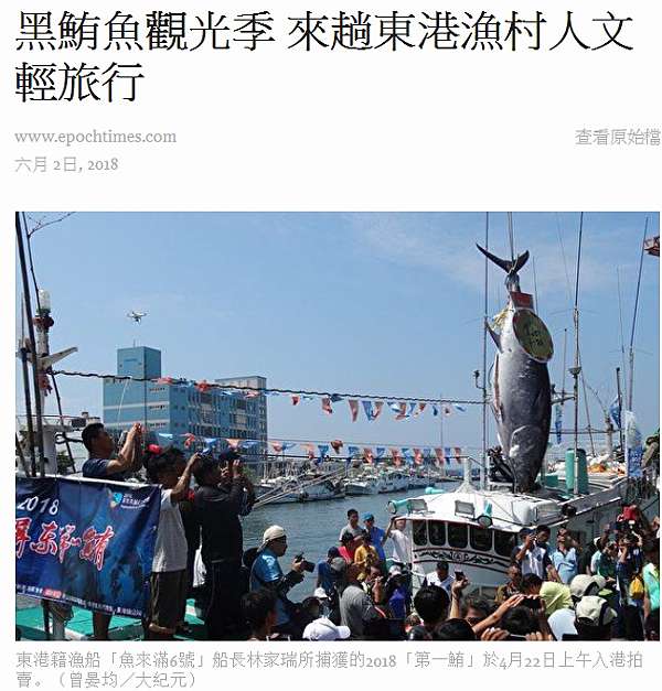 黑鮪魚 秋刀魚捕撈配額 日本築地 黑鮪魚生魚片重金屬檢測結果 七件檢出甲基汞含量在0 3ppm至1 14ppm 其中黑鮪肚生魚片甲基汞1 14 Ppm 姜朝鳳宗族