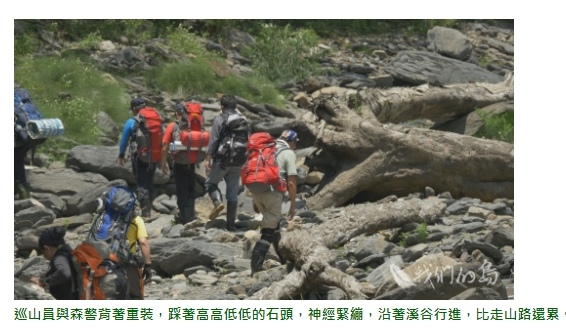 山老鼠/檜木分紅檜、扁柏兩種/「比炒房地產還凶」。市價一才( 山老鼠/檜木分紅檜、扁柏兩種/「比炒房地產還凶」。市價一才(