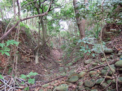 土牛溝/楊湖路土牛溝/「土牛民番地界碑」「土牛民番地界碑」「