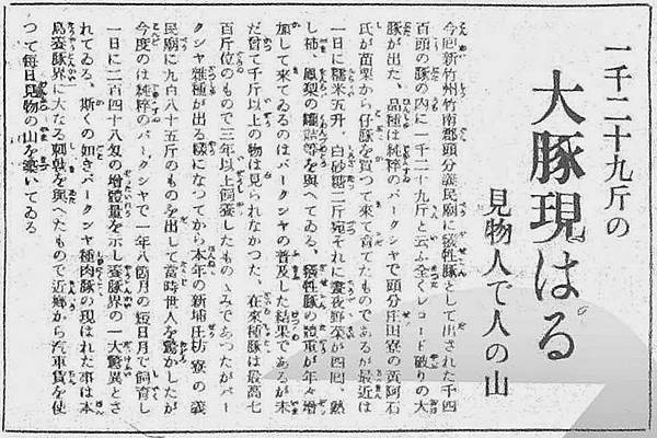 2018年新竹縣義民文化祭/1934年義民廟前有石馬及石燈籠 2018年新竹縣義民文化祭/1934年義民廟前有石馬及石燈籠