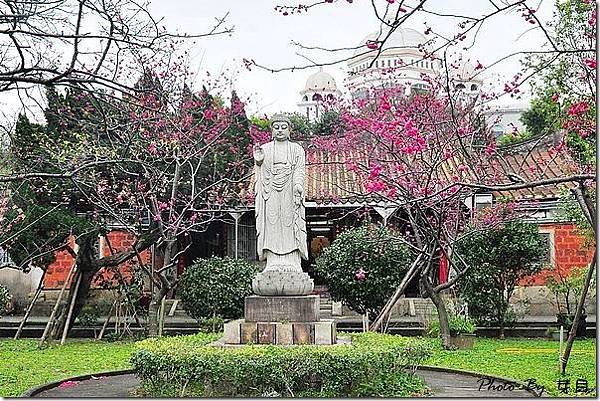 楊梅麟鳳宮-回善寺建於西元1900年-坐落於二重溪庄內-馬天