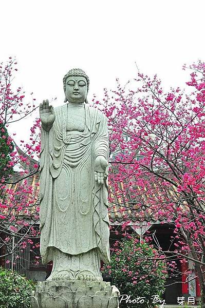 楊梅麟鳳宮-回善寺建於西元1900年-坐落於二重溪庄內-馬天