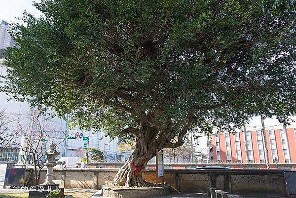 楊梅麟鳳宮-回善寺建於西元1900年-坐落於二重溪庄內-馬天