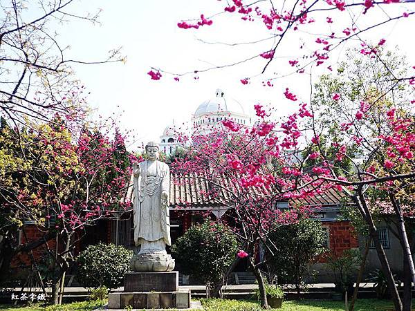 楊梅麟鳳宮-回善寺建於西元1900年-坐落於二重溪庄內-馬天 楊梅麟鳳宮-回善寺建於西元1900年-坐落於二重溪庄內-馬天