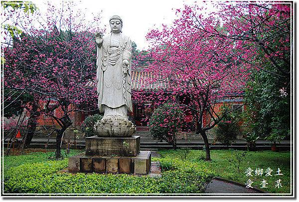 楊梅麟鳳宮-回善寺建於西元1900年-坐落於二重溪庄內-馬天 楊梅麟鳳宮-回善寺建於西元1900年-坐落於二重溪庄內-馬天