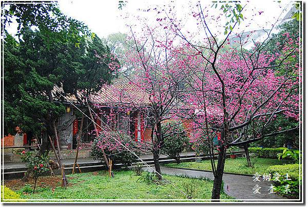 楊梅麟鳳宮-回善寺建於西元1900年-坐落於二重溪庄內-馬天