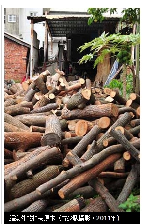 北埔峨眉/茶葉+樟腦/製茶/「樟腦」是無煙火藥的重要配料,也 北埔峨眉/茶葉+樟腦/製茶/「樟腦」是無煙火藥的重要配料,也