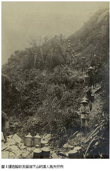 北埔峨眉/茶葉+樟腦/製茶/「樟腦」是無煙火藥的重要配料,也 北埔峨眉/茶葉+樟腦/製茶/「樟腦」是無煙火藥的重要配料,也