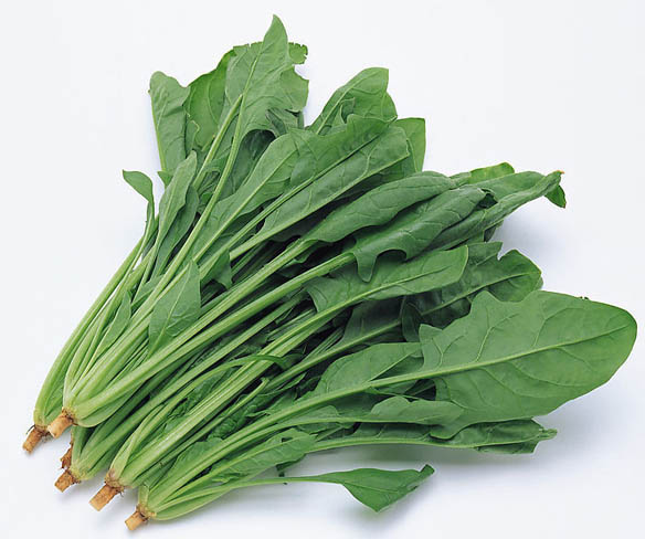 菠菜 連橫 台灣通史 中說菠菜 菠薐 台南謂之長年菜以度歲須食 道士特別愛 吃菠菜 排丹毒 可以化解丹藥對身體造成的傷害 在唐朝以前只有波斯也就是現今的伊朗種植這種蔬菜 唐太宗首先在長安推廣種植 稱為 波斯草 菠菜確實有一定的抗病作用 以及延緩衰老的作用