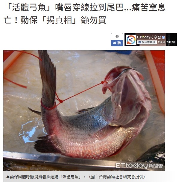 弓魚 吃魚 弓魚為一種在福建省建甌市傳承了兩百餘年的傳統綁魚技術 新鮮的塘魚經過這一處理 既可以除去塘泥味 還可以使鮮魚存活更長時間 08年 建甌的 弓魚 技藝被列入福建省第三批非物質文化遺產目錄 姜朝鳳宗族
