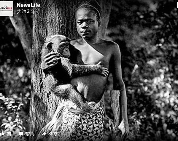 「原住民觀光」/1835年起直到1958年人類動物園(人類學 「原住民觀光」/1835年起直到1958年人類動物園(人類學