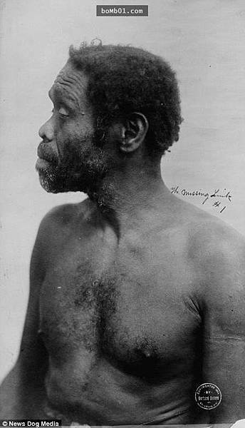 「原住民觀光」/1835年起直到1958年人類動物園(人類學 「原住民觀光」/1835年起直到1958年人類動物園(人類學