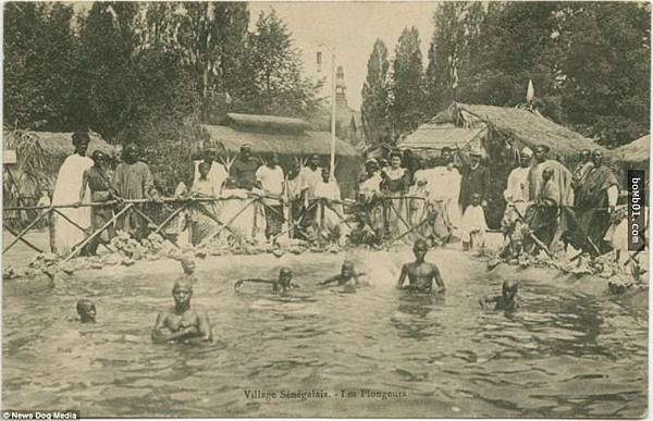 「原住民觀光」/1835年起直到1958年人類動物園(人類學 「原住民觀光」/1835年起直到1958年人類動物園(人類學