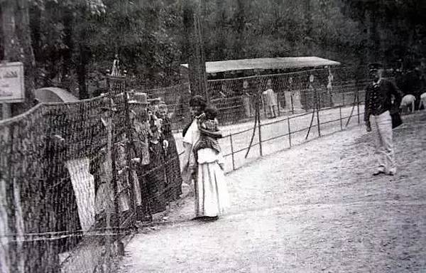 「原住民觀光」/1835年起直到1958年人類動物園(人類學 「原住民觀光」/1835年起直到1958年人類動物園(人類學