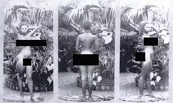 「原住民觀光」/1835年起直到1958年人類動物園(人類學 「原住民觀光」/1835年起直到1958年人類動物園(人類學