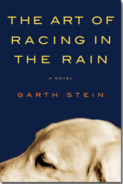 《我在雨中等你》全球暢銷冠軍小說，一部以狗狗視角出發的感人故