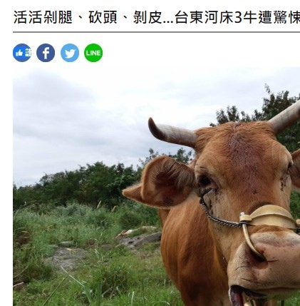 不吃牛肉+台灣每人每年平均碳排放量為11.3公噸,是全球平均 不吃牛肉+台灣每人每年平均碳排放量為11.3公噸,是全球平均