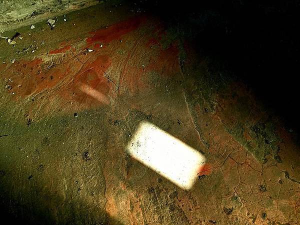 89283006_2424650684302174_803227002533314560_n 89283006_2424650684302174_803227002533314560_n